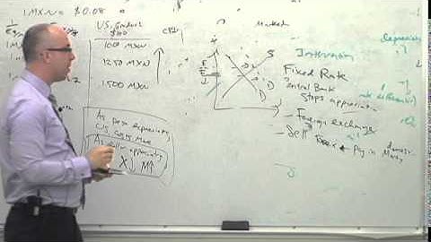 NEIU ECON Lecture Series 14 (Part 9): Fixed Exchange Rates