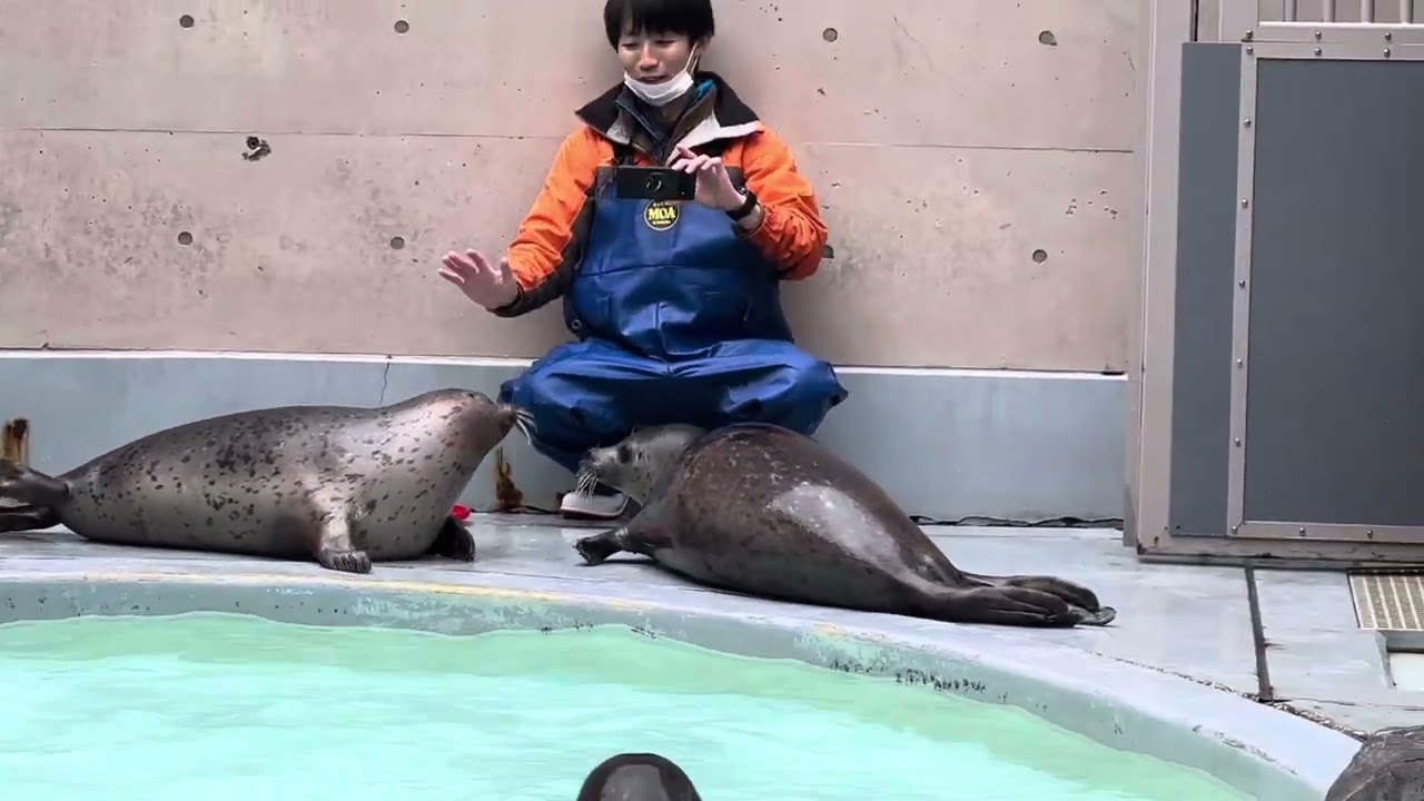 ジャンボくんとスカイくんで記念写真撮りたい担当さま