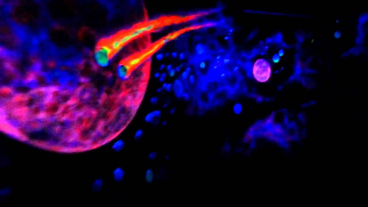 Eurosat - Europapark 2011