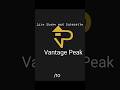 rate me plzz #logo #inkscape #design#vantagepeak #realestatelogo #realestate #businessloans