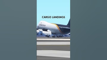 Normal V/S Cargo Infinite Flight