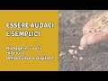 Essere audaci e semplici - Rileggere i voti alla luce della cultura digitale
