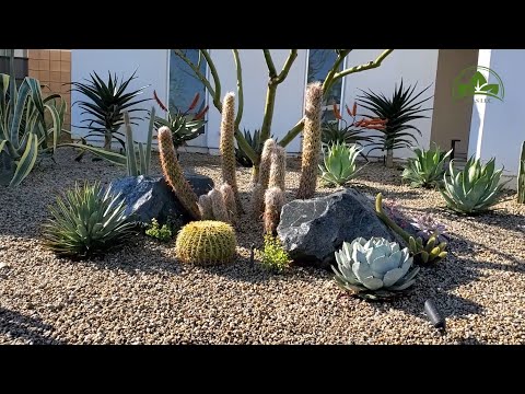 Video: Desert Landscape Project in 2 days! (Gravel, Boulders, Plants, Irrigation, and lighting!)