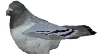 Nicos Nextbots -The Pigeon From Gmod Audio-