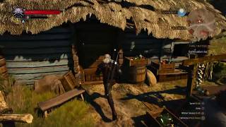The Witcher 3 Roach Glitch (Roach wants a home of her own)