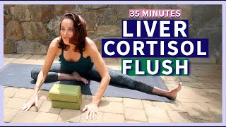35 min Somatic Yin Yoga + Nidra | Liver Cortisol Detox |  35 minutes