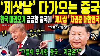 한국 따라오기 급급한 중국에 제사상 차려준 대한민국! 한국의 놀라운 성장ㅣ해외감동사연