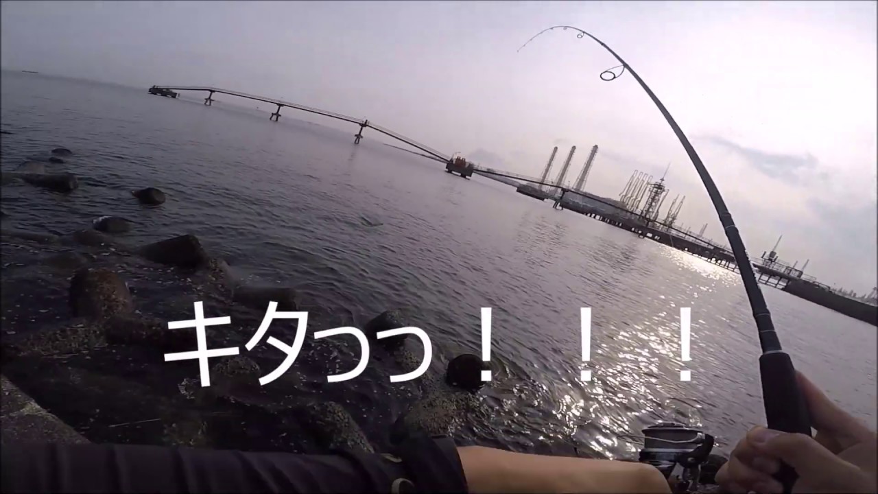 東京湾堤防シーバス マゴチ メバル ベイトフィネスデイゲーム Youtube
