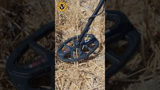 My top 3 metal detector choices
