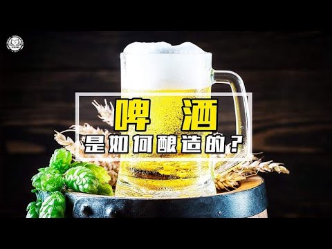 啤酒是如何酿造的？2分钟带你了解，啤酒酿造全过程