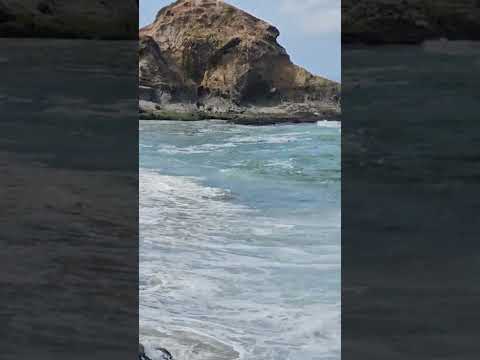 Laguna Beach Shorts Beach