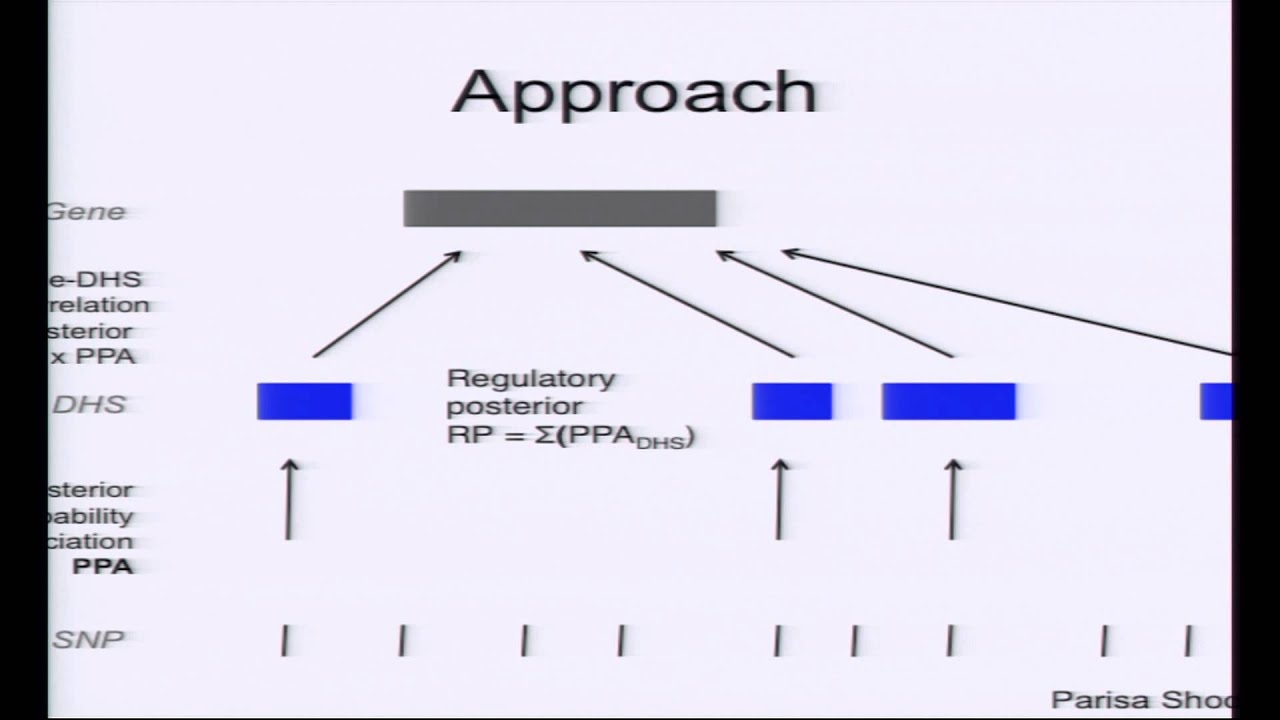 Identifying Dysregulated Genes in Autoimmune Disease - Chris Cotsapas