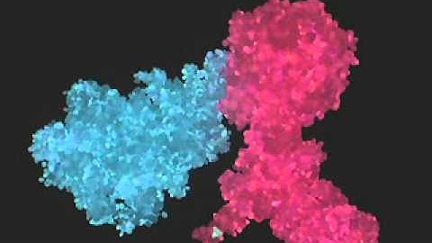 Glivec - Interpharma