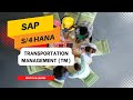 SAP S/4HANA TM (Transportation Management) | Multisoft Systems