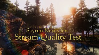 Stream Quality Test (Skyrim Next Gen)