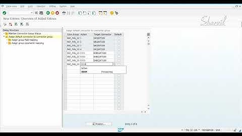 17 - GRC CONFIGURATION - MAINTAIN MAPPING FOR ACTIONS AND CONNECTOR GROUPS