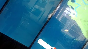 Google Maps skydiving game at I/O 2013