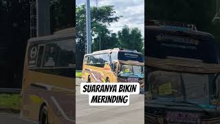 basuri zyen jawisata #bus #busindonesia #basuri #busviral