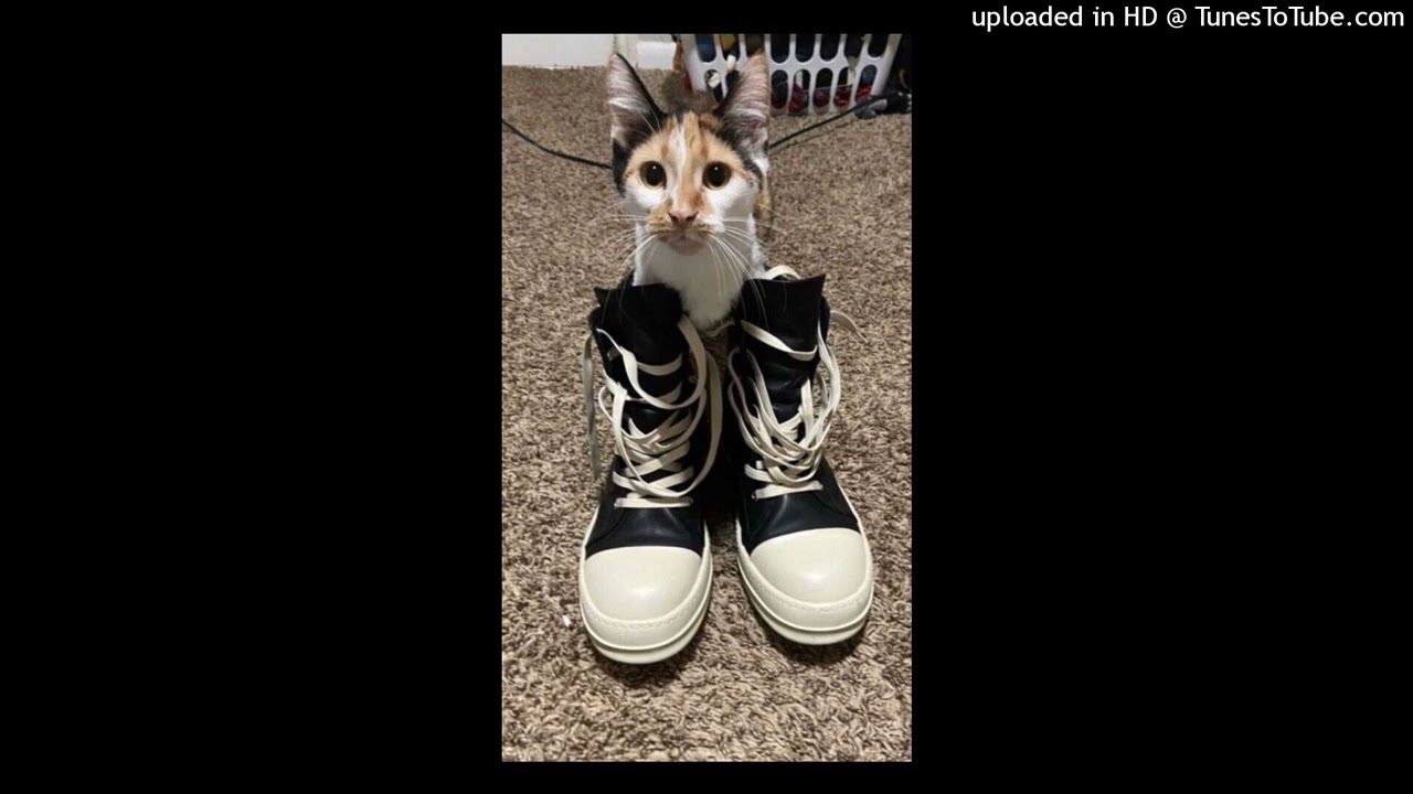 [FREE] 800pts + amir.pr0d + 808demon type beat (prod.Kezo)