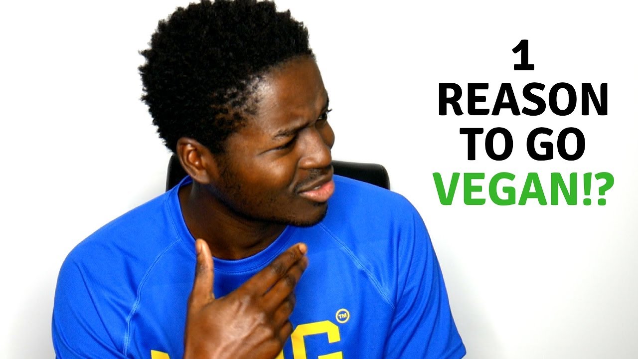 1 Reason To Go Vegan!?