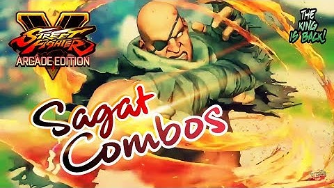 SFVAE - SAGAT combo video [RESET, MEATY, SETUPS, COMBOS]