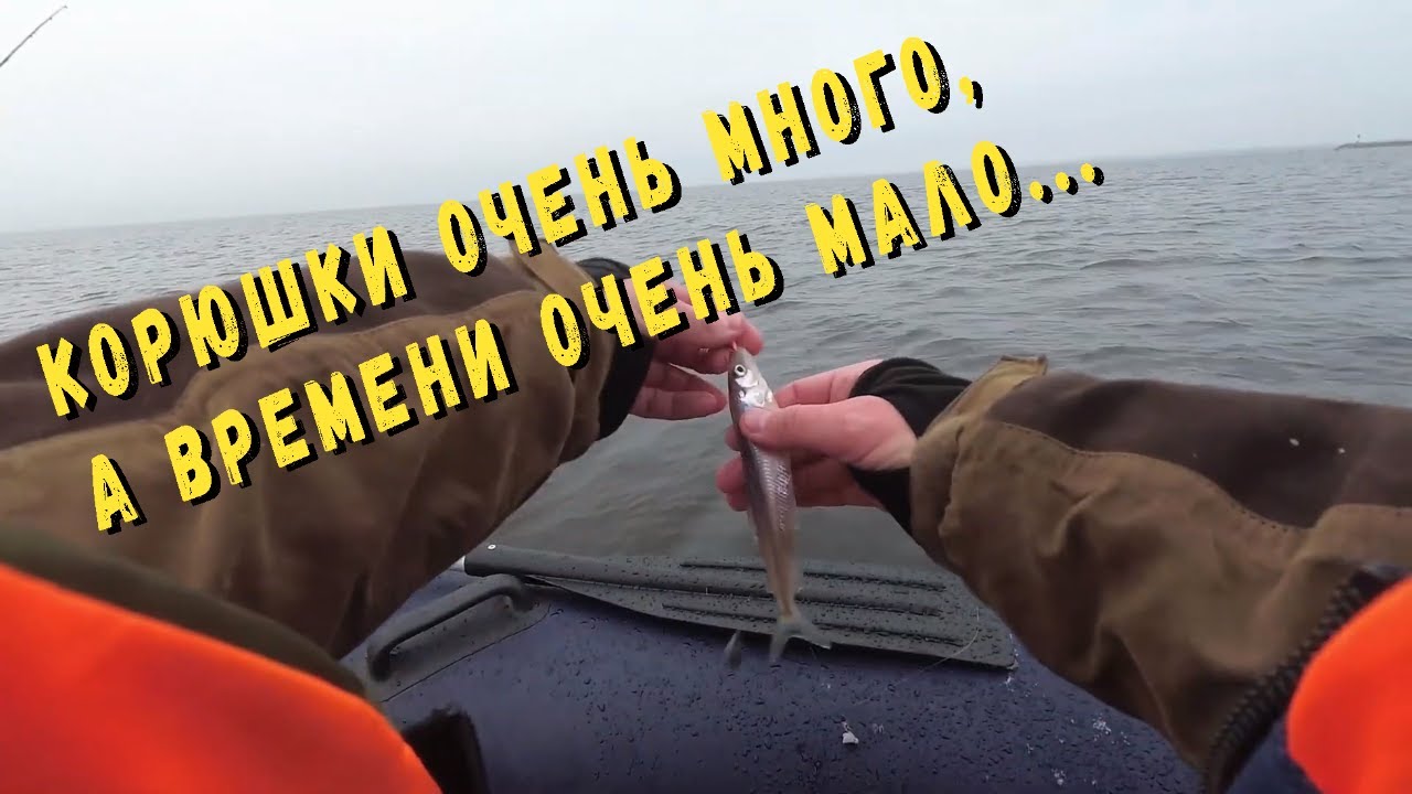 Не клюет на волге Не клюет на волге