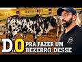 Dia 0 da IATF nas vacas NELORE PINTADO PO - EP 63