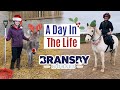A Day In The Life At Bransby Horses | At Christmas | Lilpetchannel