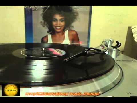WHITNEY HOUSTON - Didn't We Almost Have It All (vinyl)