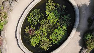 Oxford Botanic Garden And Arboretum By Drone