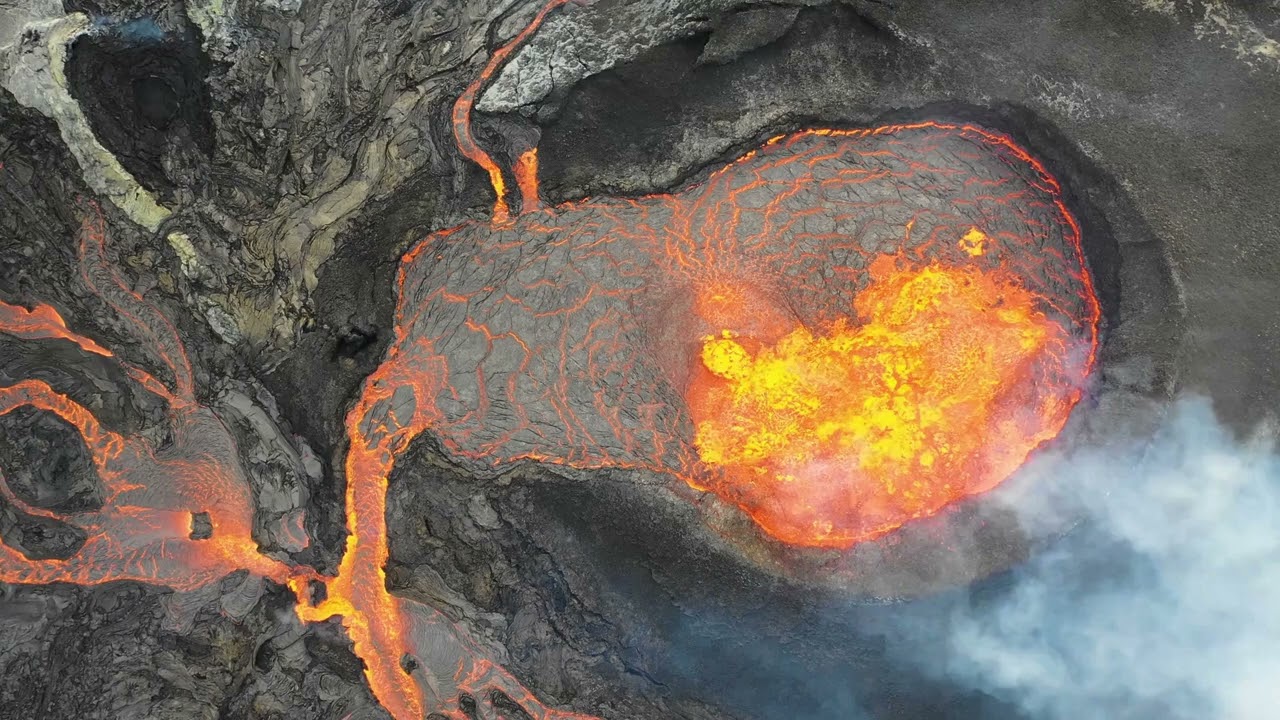 WTO Chief Sounds Alarm on Global Trade Fragmentation；Shanghai AI Startup Predicts Trillion-Parameter