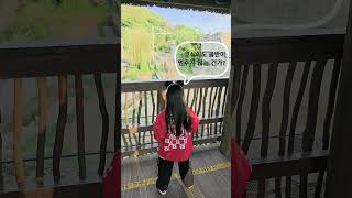 코식이도 골반이 안멈춰요 🐘 코끼리까지 골반통신 이상감지🚨 #골반통신 #코끼리 도 #골반이안멈추네 #에버랜드 #코식이 #놀이동산 #골반통신이상감지