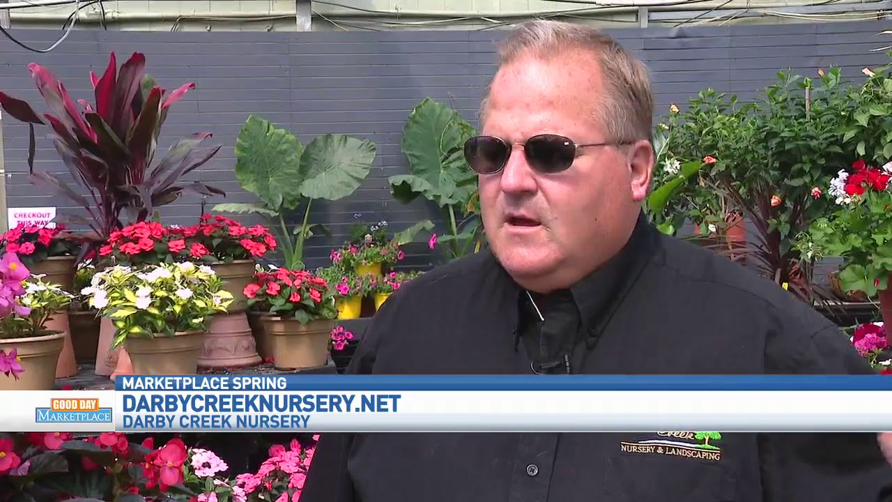 newspaper mockup GDM: Darby Creek Nursery - Mother's Day 051019