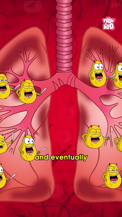 How TB Attacks the Body | World Tuberculosis Day 2024 #diseases #TB #drbinocsshow #peekabookidz