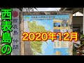 【おじさんひとり旅 Vlog】仲間川マングローブクルーズと水牛車で渡る由布島