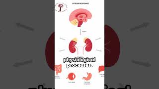 Download Lagu The Secrets of the HPA Axis: Battle Stress with Science-backed Tips for Neuroendocrine Health!\ MP3 Download Lagu The Secrets of the HPA Axis: Battle Stress with Science-backed Tips for Neuroendocrine Health!\ MP3