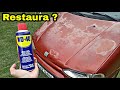 WD40 RESTAURA A PINTURA QUEIMADA ? MITO OU VERDADE