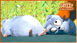 Download lagu Big Top Bear | Grizzy & the Lemmings | 30' Compilation | 🐻🐹 Cartoon for Kids