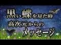 【サイン】黒い蝶には深い意味がある|高次元の生き物が現れる時のメッセージ【クロアゲハ】