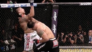 Antônio Rodrigo Nogueira vs. Brendan Schaub Highlights (Nogueira KNOCKS OUT Schaub) #ufc #mma #punch