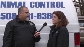 Animal Control Feb 2018