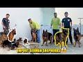 He lives with 10 import german shepherds in haryana 