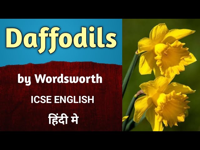 Daffodils William Wordsworth Meaning Poem Analysis In Hindi Sitedoct Daffodils William Wordsworth Meaning Poem Analysis In Hindi Sitedoct