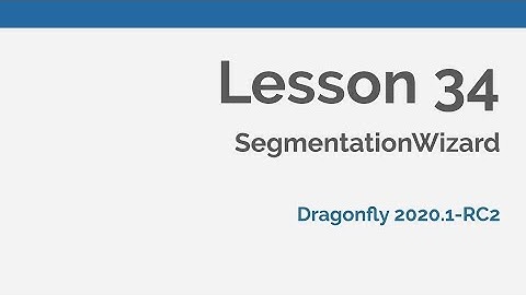 Dragonfly Daily 34 SegmentationWizard in Dragonfly (2020)