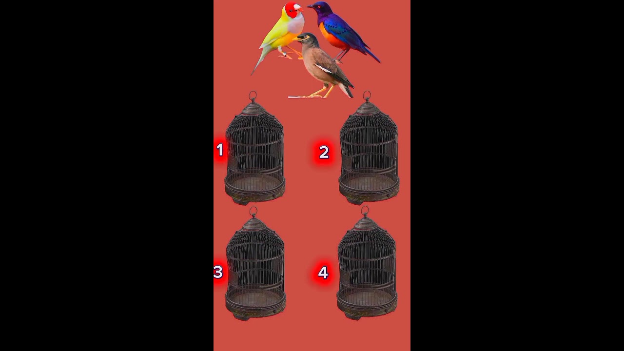 সবচেয়ে বুদ্ধিমান ছেলেকে দেখা যাবে এবার 😱 part 16 #shortlive #live