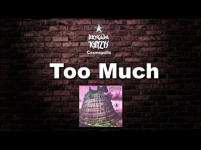 BRYGADA KRYZYS - TOO MUCH