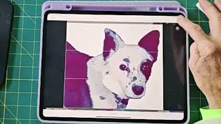 Apps demo of Imaengine and Megaphoto