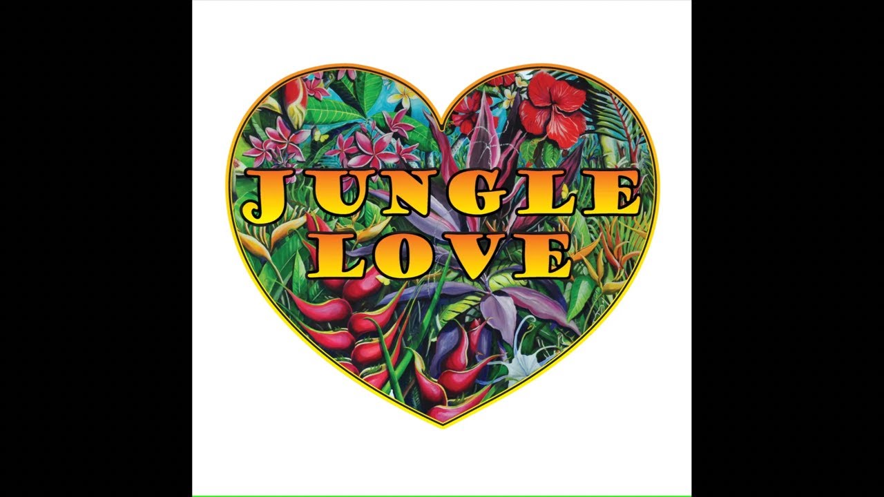JUNGLE LOVE BAND.  Chester NY 9/2/25.