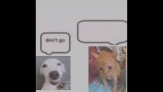 Download lagu Everybody Dies in their nightmares XXXTENTACION meme sped up