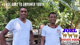 Youth Empowerment Using Goats & A.I. in goats Update